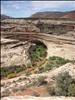 Natural Bridges National Monument